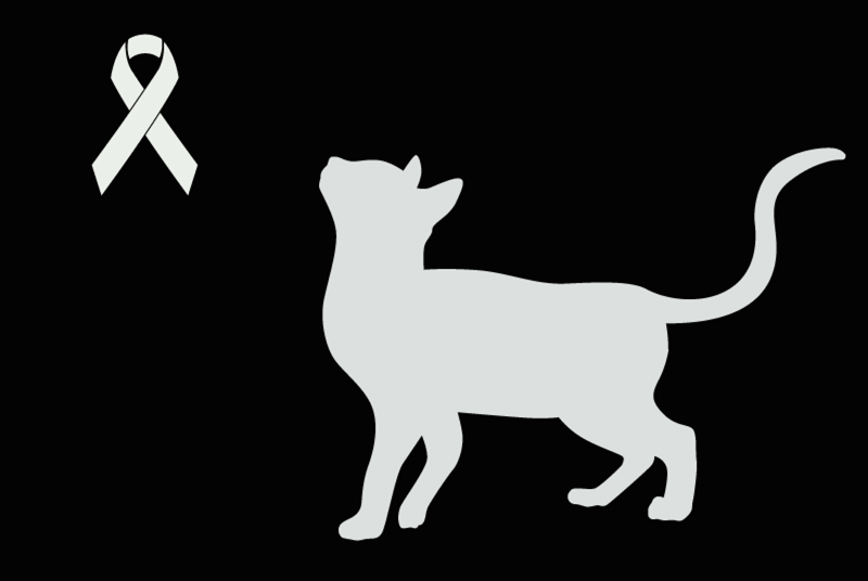 Ontdekkingsalarm Kat Onbekend Plouër-sur-Rance Frankrijk